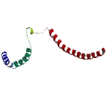 Zinc Finger, C4H2 Domain Containing Protein (ZC4H2)