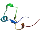 Zinc Finger, CCCH-Type With G Patch Domain Protein (ZGPAT)