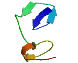 Zinc Finger, CCHC Domain Containing Protein 11 (ZCCHC11)