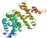 Zinc Finger, CCHC Domain Containing Protein 16 (ZCCHC16)