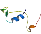 Zinc Finger, CCHC Domain Containing Protein 24 (ZCCHC24)