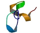 Zinc Finger, CCHC Domain Containing Protein 3 (ZCCHC3)