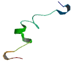 Zinc Finger, CCHC Domain Containing Protein 5 (ZCCHC5)