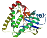 Zinc Finger, CCHC Domain Containing Protein 6 (ZCCHC6)