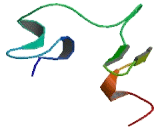 Zinc Finger, CCHC Domain Containing Protein 9 (ZCCHC9)