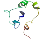 Zinc Finger, DHHC-Type Containing Protein 11 (ZDHHC11)