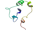 Zinc Finger, DHHC-Type Containing Protein 11B (ZDHHC11B)