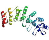 Zinc Finger, DHHC-Type Containing Protein 17 (ZDHHC17)