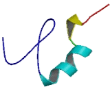 Zinc Finger, DHHC-Type Containing Protein 19 (ZDHHC19)