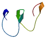 Zinc Finger, DHHC-Type Containing Protein 21 (ZDHHC21)