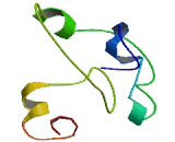 Zinc Finger, DHHC-Type Containing Protein 24 (ZDHHC24)