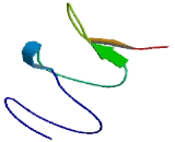 Zinc Finger, DHHC-Type Containing Protein 3 (ZDHHC3)