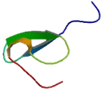 Zinc Finger, DHHC-Type Containing Protein 5 (ZDHHC5)