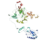 Zinc Finger, DHHC-Type Containing Protein 8 (ZDHHC8)