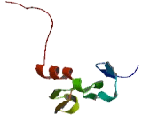 Zinc Finger, FYVE Domain Containing Protein 19 (ZFYVE19)