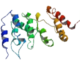 Zinc Finger, GATA Like Protein 1 (ZGLP1)