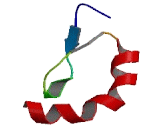 Zinc Finger, MYND-Type Containing Protein 17 (ZMYND17)