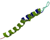 Zinc Finger, Matrin Type Protein 2 (ZMAT2)