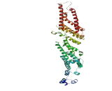 Zinc Finger, RNA Binding Motif And Serine/Arginine Rich Protein 1 (ZRSR1)