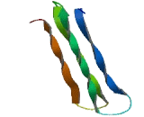 Zinc Finger, SWIM-Type Containing Protein 5 (ZSWIM5)