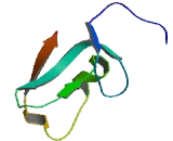 Zinc Finger, ZZ-Type Containing Protein 3 (ZZZ3)