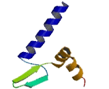 Zinc Finger And BTB Domain Containing Protein 1 (ZBTB1)