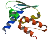 Zinc Finger And BTB Domain Containing Protein 10 (ZBTB10)