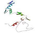 Zinc Finger And BTB Domain Containing Protein 11 (ZBTB11)