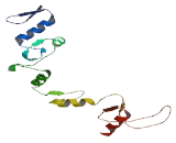 Zinc Finger And BTB Domain Containing Protein 20 (ZBTB20)