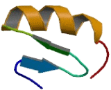 Zinc Finger And BTB Domain Containing Protein 24 (ZBTB24)