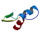 Zinc Finger And BTB Domain Containing Protein 3 (ZBTB3)