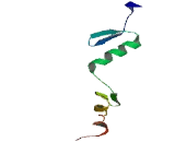 Zinc Finger And BTB Domain Containing Protein 33 (ZBTB33)