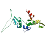 Zinc Finger And BTB Domain Containing Protein 39 (ZBTB39)