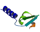 Zinc Finger And BTB Domain Containing Protein 4 (ZBTB4)