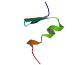 Zinc Finger And BTB Domain Containing Protein 40 (ZBTB40)