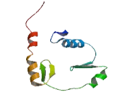 Zinc Finger And BTB Domain Containing Protein 43 (ZBTB43)