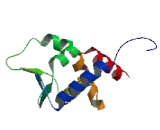 Zinc Finger And BTB Domain Containing Protein 44 (ZBTB44)