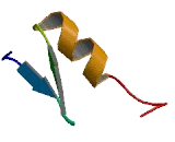 Zinc Finger And BTB Domain Containing Protein 45 (ZBTB45)