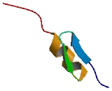 Zinc Finger And BTB Domain Containing Protein 47 (ZBTB47)