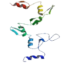 Zinc Finger And BTB Domain Containing Protein 49 (ZBTB49)