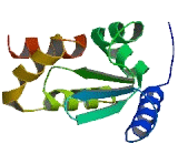 Zinc Finger And BTB Domain Containing Protein 7A (ZBTB7A)