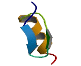 Zinc Finger And BTB Domain Containing Protein 8A (ZBTB8A)