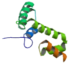 Zinc Finger And SCAN Domain Containing Protein 1 (ZSCAN1)