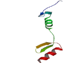 Zinc Finger And SCAN Domain Containing Protein 12 (ZSCAN12)