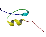 Zinc Finger And SCAN Domain Containing Protein 20 (ZSCAN20)