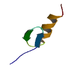 Zinc Finger And SCAN Domain Containing Protein 21 (ZSCAN21)