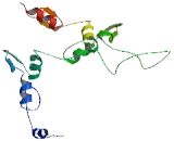 Zinc Finger And SCAN Domain Containing Protein 23 (ZSCAN23)