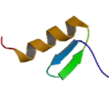 Zinc Finger And SCAN Domain Containing Protein 4 (ZSCAN4)