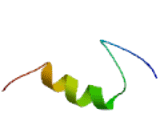 Zinc Finger And SCAN Domain Containing Protein 5B (ZSCAN5B)