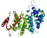 Zinc Finger CCCH-Type Containing Protein 11A (ZC3H11A)